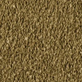 Preview: Vorwerk Alba 2F97 moos – Draufsicht Velours Teppichboden 4 m breit